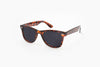 BeachSpecs: Tortoiseshell